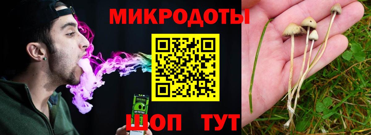 Волоколамск  Псилоцибиновые грибы Psilocybine cubensis  Вход с VPN 